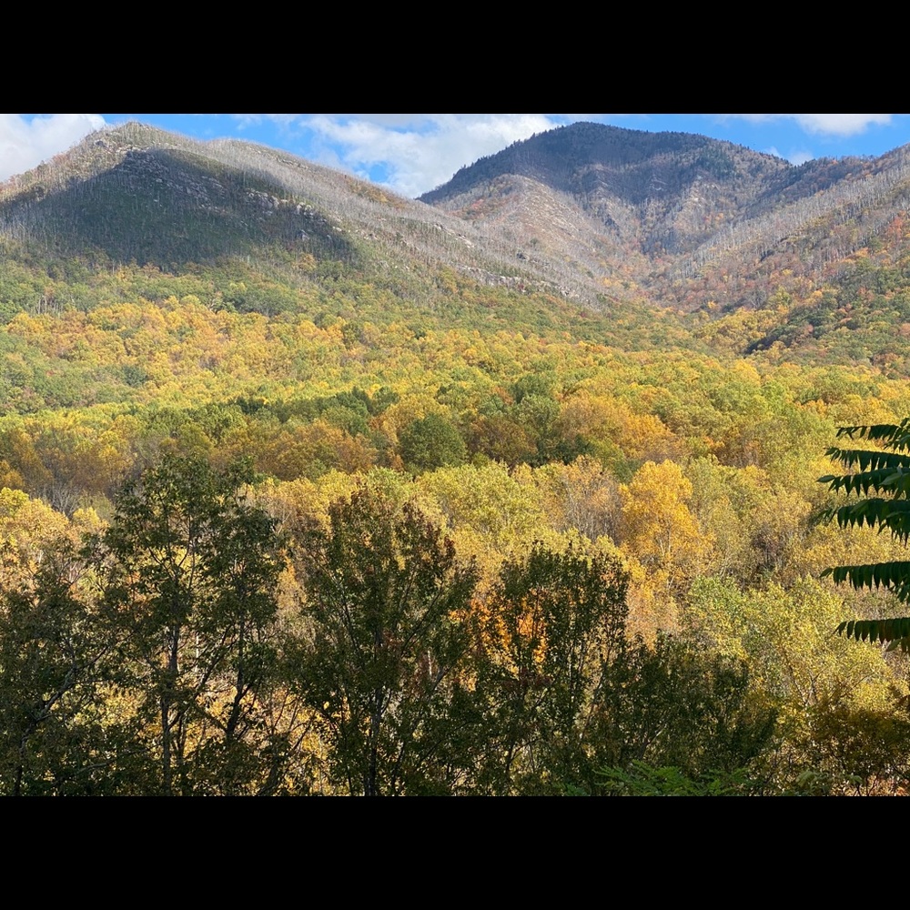 Meet your Posher, Tia